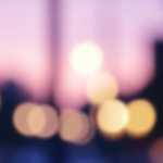 5 Steps towards FSC certification