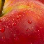 5 Steps towards FSC certification