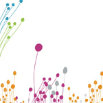 5 Steps towards FSC certification