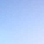 5 Steps towards FSC certification