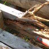 Failure of Decking Structure